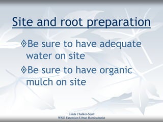 Site and root preparation
 Be sure to have adequate
  water on site
 Be sure to have organic
  mulch on site

              Linda Chalker-Scott
        WSU Extension Urban Horticulturist
 