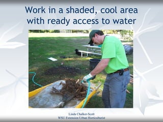 Work in a shaded, cool area
with ready access to water




             Linda Chalker-Scott
       WSU Extension Urban Horticulturist
 