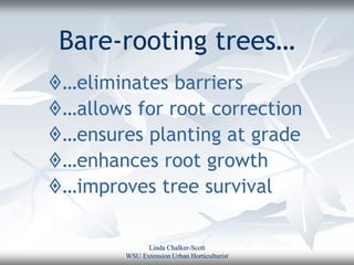 Bare-rooting trees…
…eliminates barriers
…allows for root correction
…ensures planting at grade
…enhances root growth
…improves tree survival

              Linda Chalker-Scott
        WSU Extension Urban Horticulturist
 