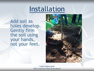 Installation
Add soil as
holes develop.
Gently firm
the soil using
your hands,
not your feet.



                Linda Chalker-Scott
          WSU Extension Urban Horticulturist
 