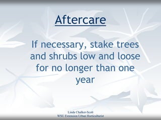 Aftercare
If necessary, stake trees
and shrubs low and loose
 for no longer than one
          year


            Linda Chalker-Scott
      WSU Extension Urban Horticulturist
 