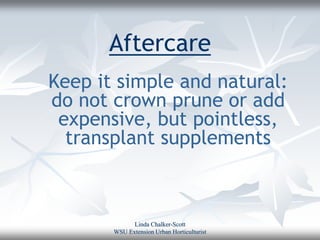 Aftercare
Keep it simple and natural:
do not crown prune or add
 expensive, but pointless,
  transplant supplements



             Linda Chalker-Scott
       WSU Extension Urban Horticulturist
 