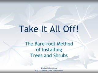 Take It All Off!
 The Bare-root Method
      of Installing
   Trees and Shrubs

           Linda Chalker-Scott
     WSU Extension Urban Horticulturist
 