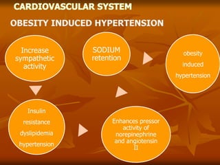 Increase
sympathetic
activity
Insulin
resistance
dyslipidemia
hypertension
Enhances pressor
activity of
norepinephrine
and angiotensin
II
SODIUM
retention
obesity
induced
hypertension
 