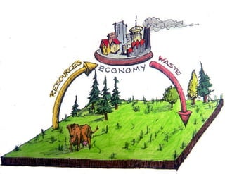 Metabolism like a cow 