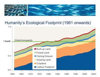 Humanity’s Ecological Footprint (1961 onwards) 