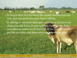  El mayor atractivo turístico del estado Barinas son los
 ríos, que son perfectos para hacer rafting.
 El rafting es una actividad que consiste en lanzarse rio
 abajo con una balsa donde va hasta 8 personas . Esta
 actividad se realiza en la mayoría de los rios del estado
 por eso no tiene una dirección exacta como se pide




    Barinas             Elías Quevedo         Sitios turísticos
 