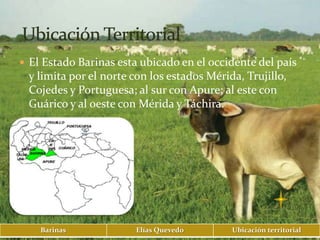  El Estado Barinas esta ubicado en el occidente del país
 y limita por el norte con los estados Mérida, Trujillo,
 Cojedes y Portuguesa; al sur con Apure; al este con
 Guárico y al oeste con Mérida y Táchira.




    Barinas             Elías Quevedo       Ubicación territorial
 