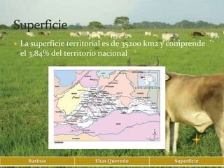  La superficie territorial es de 35200 km2 y comprende
 el 3,84% del territorio nacional




    Barinas            Elías Quevedo          Superficie
 