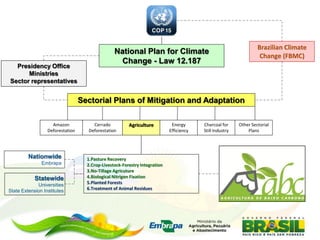 Barioni Mitigation options and actions in Brazil agriculture july 2012
