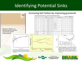 Barioni Mitigation options and actions in Brazil agriculture july 2012