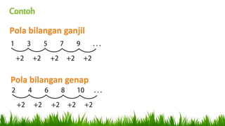 Contoh
Pola bilangan ganjil
Pola bilangan genap
 