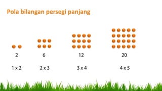 Pola bilangan persegi panjang
 