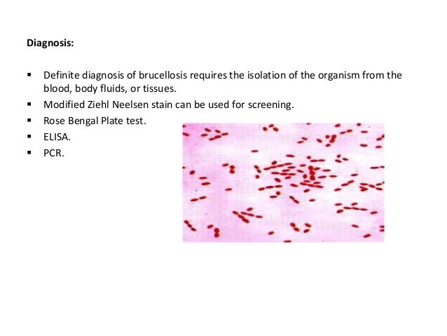 BACTERIAL DISEASES OF ...