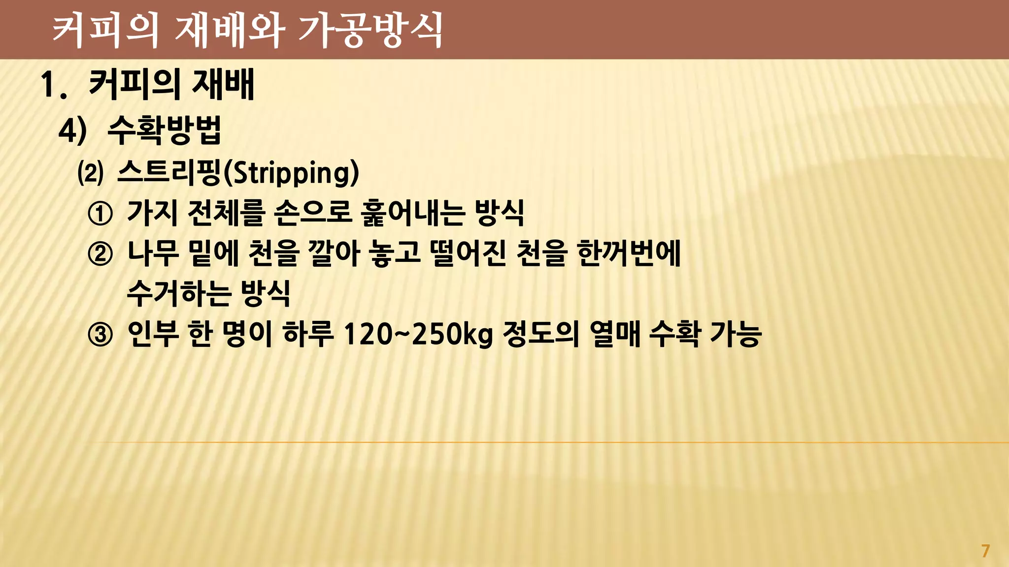 1. 커피의 재배
4) 수확방법
⑵ 스트리핑(Stripping)
① 가지 전체를 손으로 훑어내는 방식
② 나무 밑에 천을 깔아 놓고 떨어진 천을 한꺼번에
수거하는 방식
③ 인부 한 명이 하루 120~250kg 정도의 열매 수확 가능
7
커피의 재배와 가공방식
 