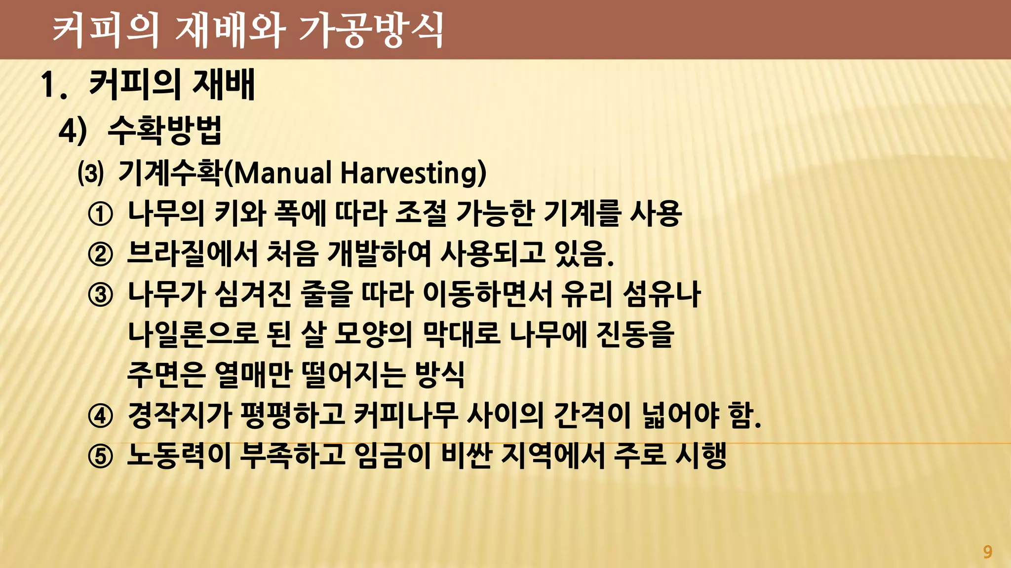1. 커피의 재배
4) 수확방법
⑶ 기계수확(Manual Harvesting)
① 나무의 키와 폭에 따라 조절 가능한 기계를 사용
② 브라질에서 처음 개발하여 사용되고 있음.
③ 나무가 심겨진 줄을 따라 이동하면서 유리 섬유나
나일론으로 된 살 모양의 막대로 나무에 진동을
주면은 열매만 떨어지는 방식
④ 경작지가 평평하고 커피나무 사이의 간격이 넓어야 함.
⑤ 노동력이 부족하고 임금이 비싼 지역에서 주로 시행
9
커피의 재배와 가공방식
 