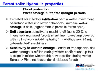4
 Forested soils: higher infiltration of rain water, movement
of surface water into slower channels, increase water
stor...