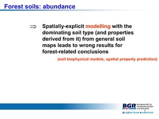 7
Forest soils: abundance
Spatially-explicit modelling with the
dominating soil type (and properties
derived from it) from...