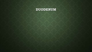DUODENUM
 