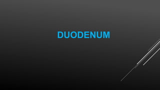DUODENUM
 