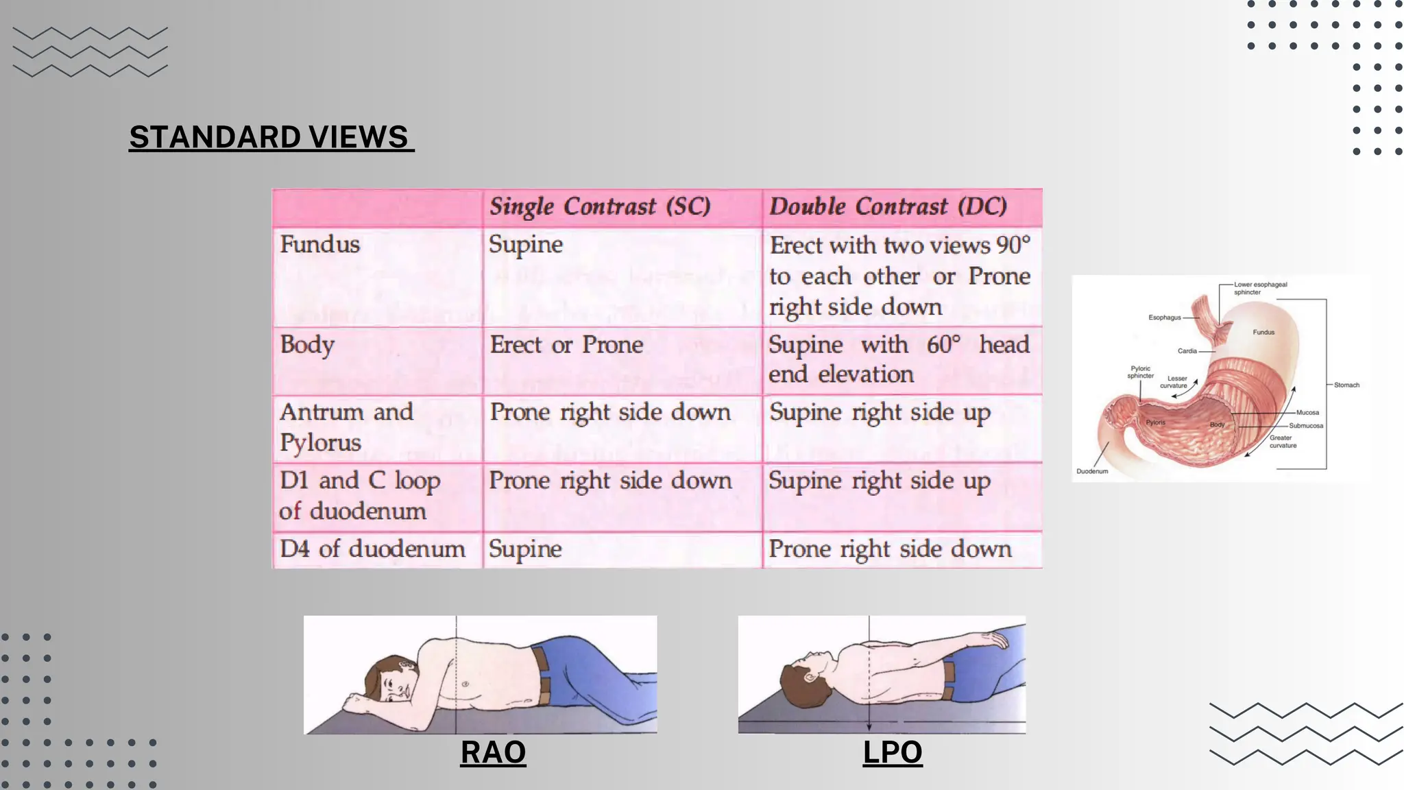Barium Meal procedure in radiology department | PPT