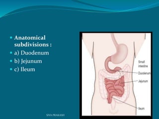  Anatomical
subdivisions :
 a) Duodenum
 b) Jejunum
 c) Ileum
5SIVA PRAKASH
 