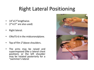 Right Lateral Positioning
• 14”x17”lengthwise.
• (7”x17” are also used)
• Right lateral.
• CRtoT5-6 in the midcoronalplane.
• Top of film 2”above shoulders.
• The arms may be raised and
superimposed (like a lateral chest
position), or the left shoulder
may be rotated posteriorly for a
“swimmer’s lateral
 