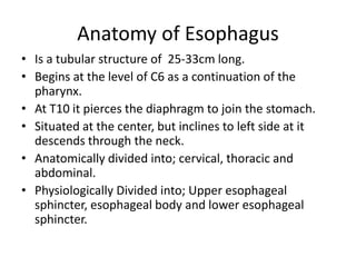 Anatomy of Esophagus
• Is a tubular structure of 25-33cm long.
• Begins at the level of C6 as a continuation of the
pharynx.
• At T10 it pierces the diaphragm to join the stomach.
• Situated at the center, but inclines to left side at it
descends through the neck.
• Anatomically divided into; cervical, thoracic and
abdominal.
• Physiologically Divided into; Upper esophageal
sphincter, esophageal body and lower esophageal
sphincter.
 
