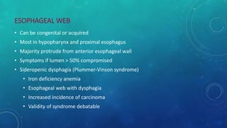 ESOPHAGEAL WEB
• Can be congenital or acquired
• Most in hypopharynx and proximal esophagus
• Majority protrude from anterior esophageal wall
• Symptoms if lumen > 50% compromised
• Sideropenic dysphagia (Plummer-Vinson syndrome)
• Iron deficiency anemia
• Esophageal web with dysphagia
• Increased incidence of carcinoma
• Validity of syndrome debatable
 