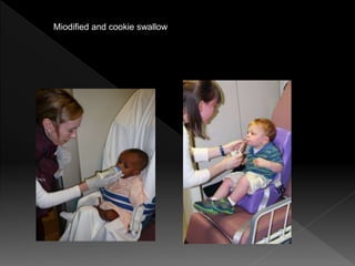 Miodified and cookie swallow
 