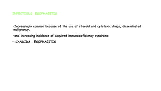 INFECTIOUS ESOPHAGITIS
•Increasingly common because of the use of steroid and cytotoxic drugs, disseminated
malignancy,
•and increasing incidence of acquired immunodeficiency syndrome
• CANDIDA ESOPHAGITIS
 