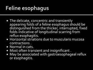 Barium swallow diseases | PPTX