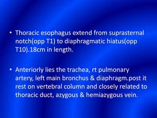 Thoracic esophagus extend from suprasternal notch(opp T1) to diaphragmatic hiatus(opp T10).18cm in length.Anteriorly lies the trachea, rt pulmonary artery, left main bronchus & diaphragm.post it rest on vertebral column and closely related to thoracic duct, azygous & hemiazygous vein.