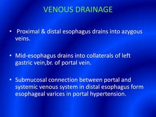 VENOUS DRAINAGE Proximal & distal esophagus drains into azygous veins.Mid-esophagus drains into collaterals of left gastric vein,br. of portal vein.Submucosal connection between portal and systemic venous system in distal esophagus form esophageal varices in portal hypertension. 