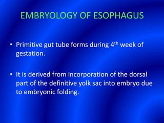 EMBRYOLOGY OF ESOPHAGUSPrimitive gut tube forms during 4th week of gestation.It is derived from incorporation of the dorsal part of the definitive yolk sac into embryo due to embryonic folding.