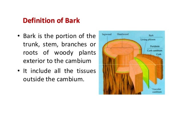 bark