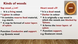 Sap wood ‫العصاري‬ Heart wood ‫القلب‬
➢ It is a living wood.
* Lighter in colour
* It contains reserve food material,
e.g. starch.
* It may be formed of outer layers
of xylem
Function: Conductive and support.
e.g. Quassia wood
* It is a dead wood.
* Darker in colour
* It is originally a sap wood in
which the vessels axe blocked by
Tyloses.
* It forms the inner layers of
xylem
* Function: support.
e.g. Guaiacum wood.
Kinds of woods
 