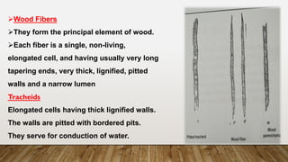 ➢Wood Fibers
➢They form the principal element of wood.
➢Each fiber is a single, non-living,
elongated cell, and having usually very long
tapering ends, very thick, lignified, pitted
walls and a narrow lumen
Tracheids
Elongated cells having thick lignified walls.
The walls are pitted with bordered pits.
They serve for conduction of water.
 