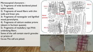 Microscopical characters :
1) Fragments of wide bordered pitted
xylem vessels.
2) Fragments of wood fibers with thin
walls and linear pits.
3) Fragments of rectangular and lignified
wood parenchyma.
4) Fragments of calcium oxalate prisms
(absent in Surinam quassia).
5) Fragments of madullary rays With
underlying fibers.
Some of the cell contain starch granules
or prisms of
Ca-ox.The cell are pitted.
 
