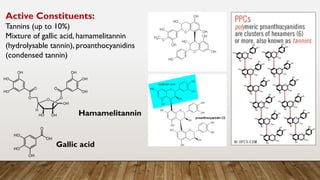 Gallic acid
Hamamelitannin
Active Constituents:
Tannins (up to 10%)
Mixture of gallic acid, hamamelitannin
(hydrolysable tannin), proanthocyanidins
(condensed tannin)
 