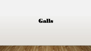 Galls
 