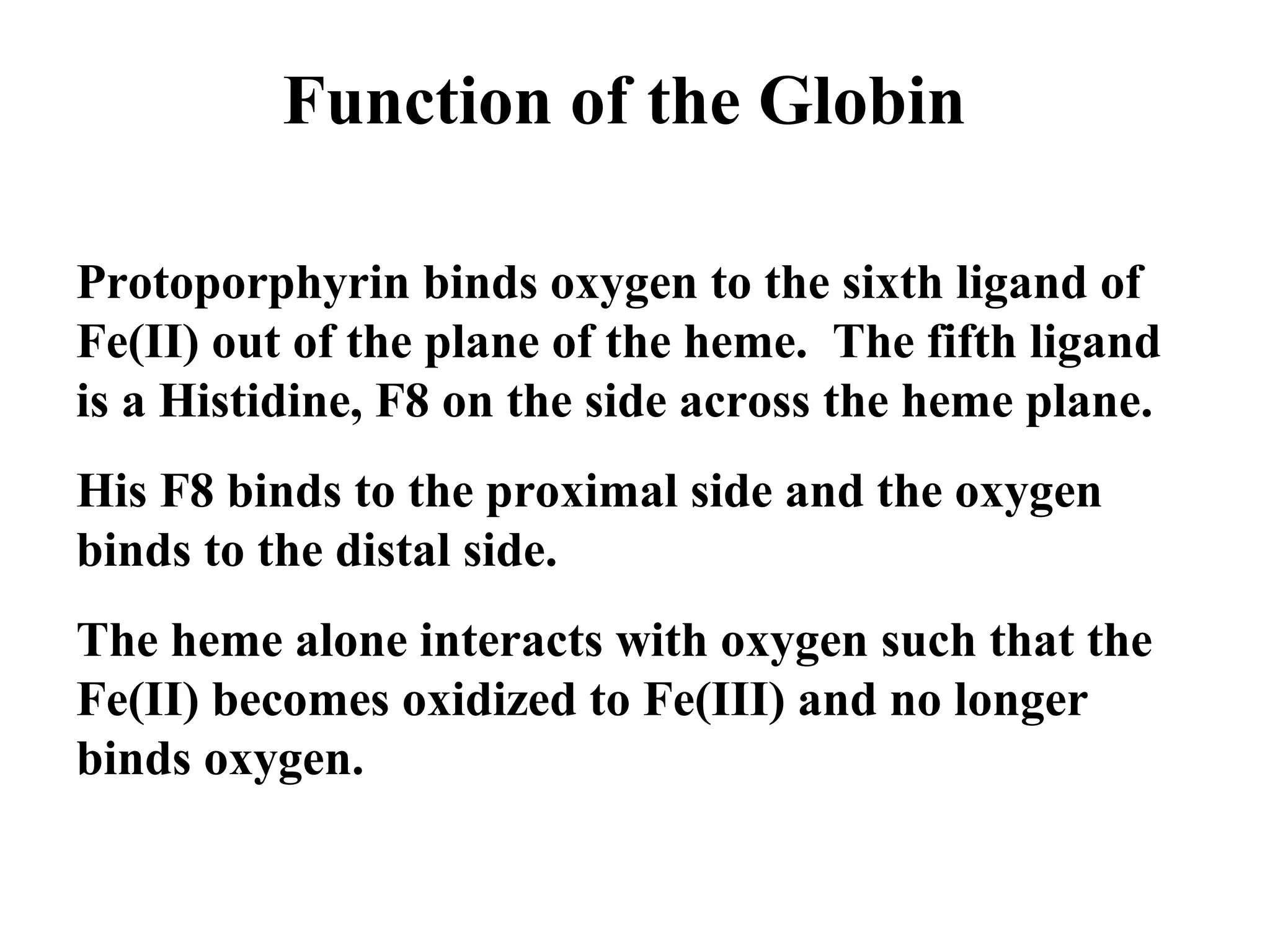 Function of the Globin
Protoporphyrin binds oxygen to the sixth ligand of
Fe(II) out of the plane of the heme. The fifth ligand
is a Histidine, F8 on the side across the heme plane.
His F8 binds to the proximal side and the oxygen
binds to the distal side.
The heme alone interacts with oxygen such that the
Fe(II) becomes oxidized to Fe(III) and no longer
binds oxygen.

 
