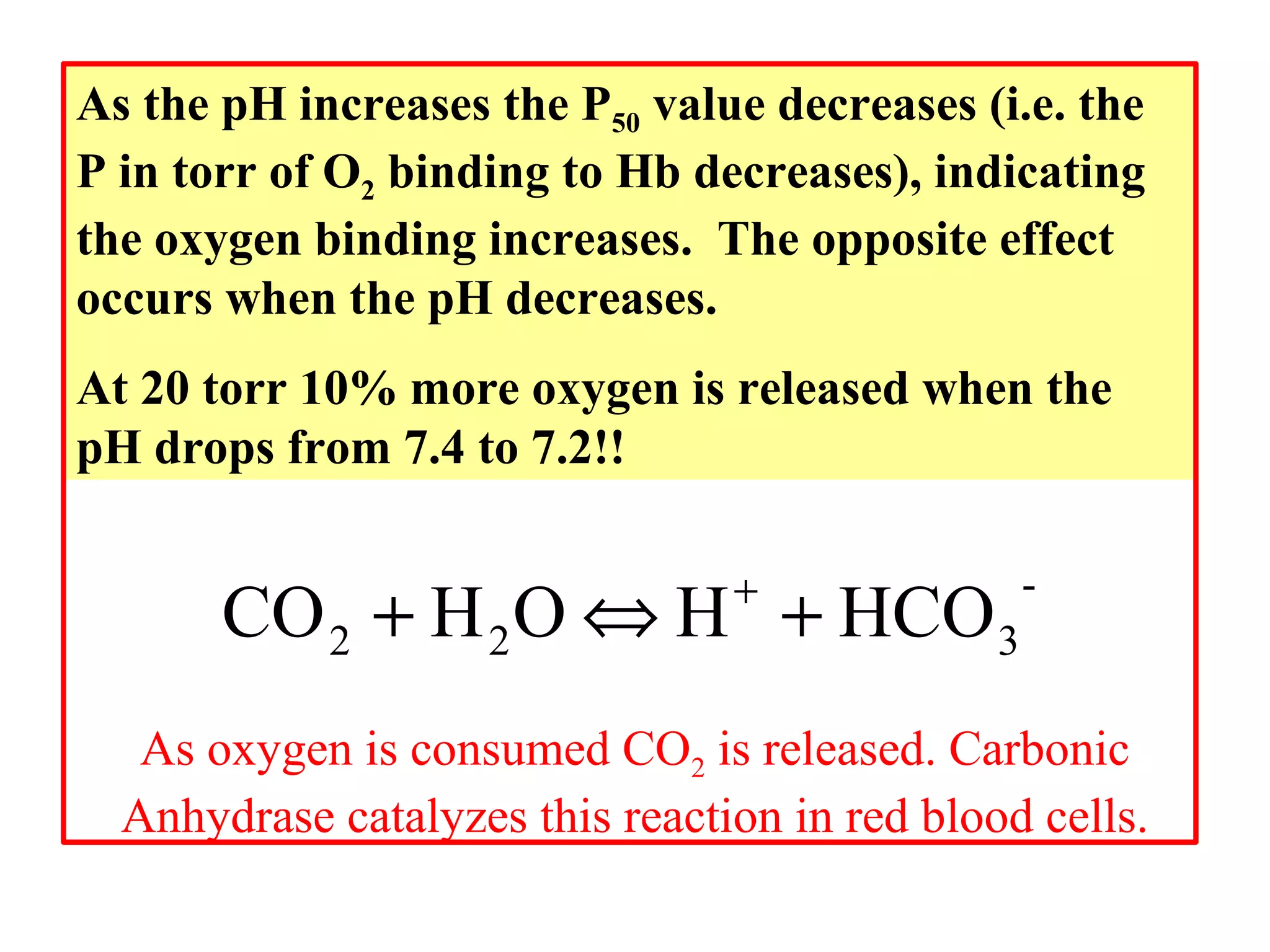 As the pH increases the P50 value decreases (i.e. the
P in torr of O2 binding to Hb decreases), indicating
the oxygen binding increases. The opposite effect
occurs when the pH decreases.
At 20 torr 10% more oxygen is released when the
pH drops from 7.4 to 7.2!!
+

CO 2 + H 2 O ⇔ H + HCO 3

-

As oxygen is consumed CO2 is released. Carbonic
Anhydrase catalyzes this reaction in red blood cells.

 