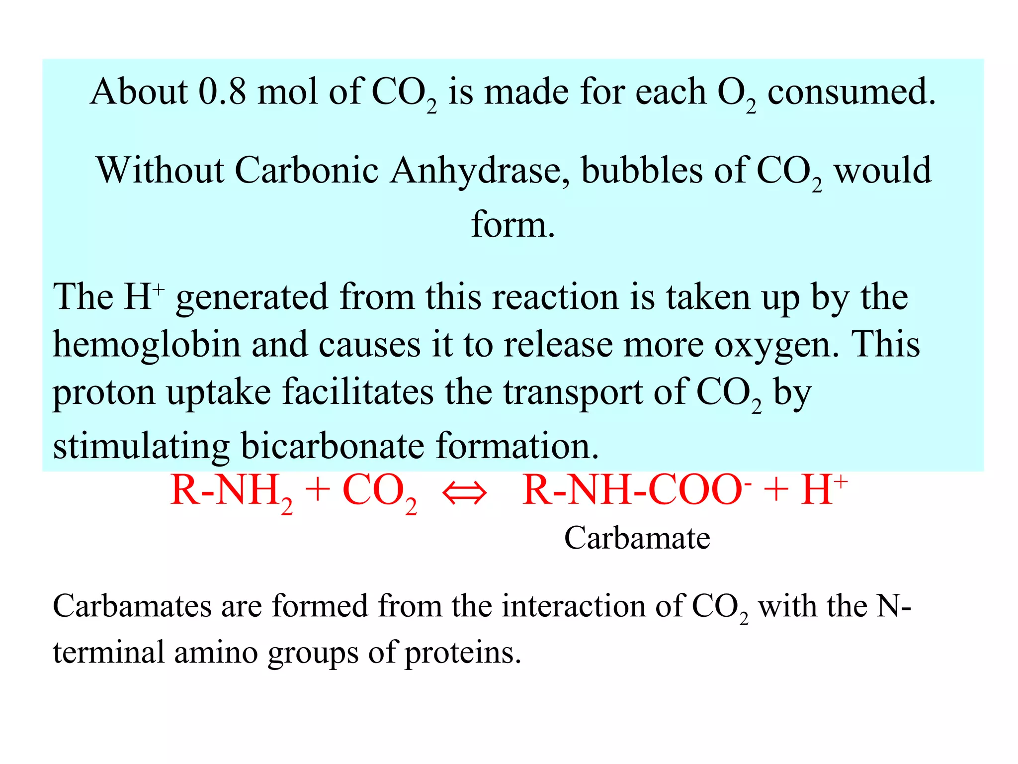 About 0.8 mol of CO2 is made for each O2 consumed.
Without Carbonic Anhydrase, bubbles of CO2 would
form.
The H+ generated from this reaction is taken up by the
hemoglobin and causes it to release more oxygen. This
proton uptake facilitates the transport of CO2 by
stimulating bicarbonate formation.

R-NH2 + CO2 ⇔ R-NH-COO- + H+
Carbamate

Carbamates are formed from the interaction of CO2 with the Nterminal amino groups of proteins.

 