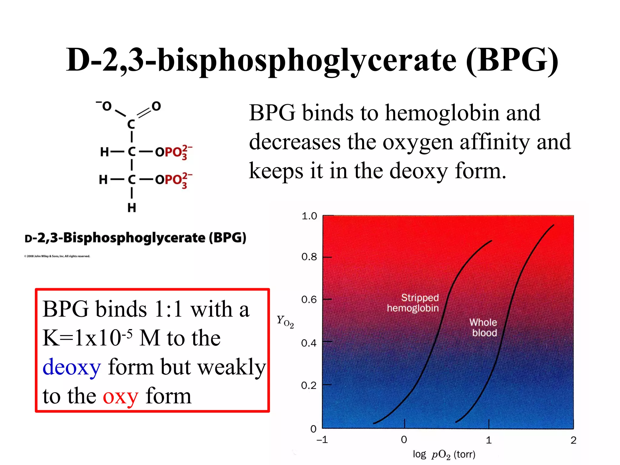 D-2,3-bisphosphoglycerate (BPG)
BPG binds to hemoglobin and
decreases the oxygen affinity and
keeps it in the deoxy form.

BPG binds 1:1 with a
K=1x10-5 M to the
deoxy form but weakly
to the oxy form

 
