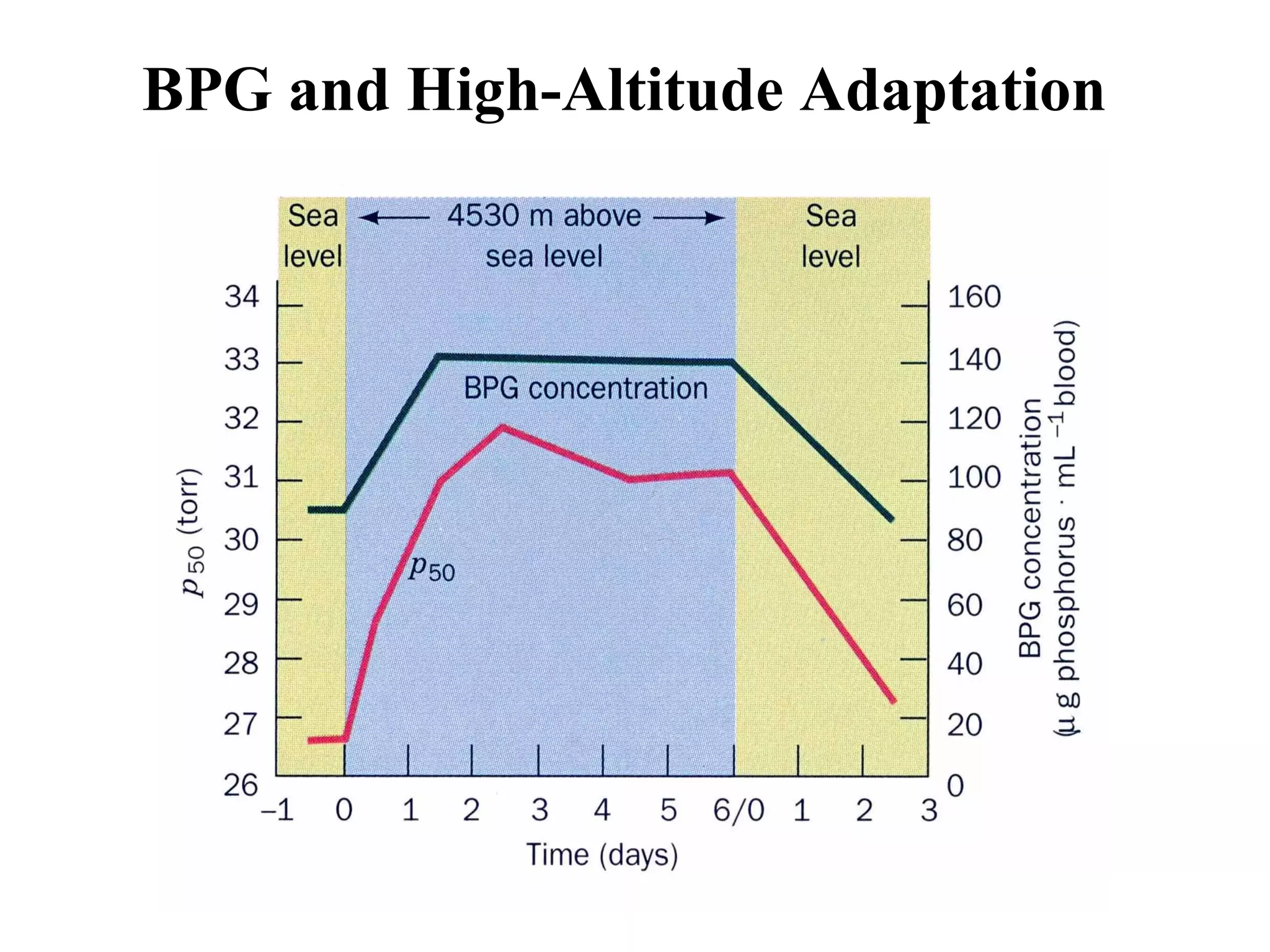 BPG and High-Altitude Adaptation

 