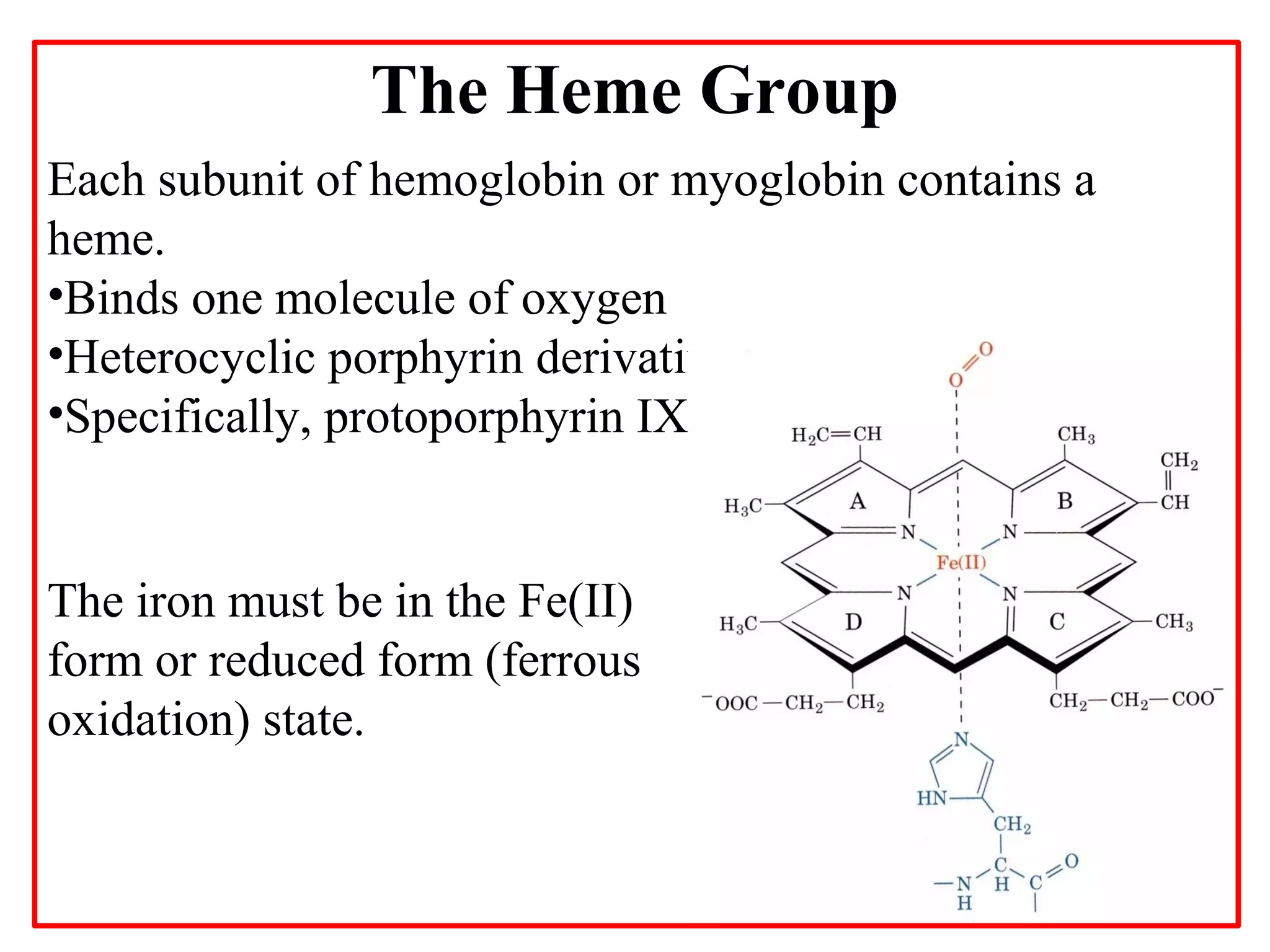 The Heme Group
Each subunit of hemoglobin or myoglobin contains a
heme.
•Binds one molecule of oxygen
•Heterocyclic porphyrin derivative
•Specifically, protoporphyrin IX

The iron must be in the Fe(II)
form or reduced form (ferrous
oxidation) state.

 
