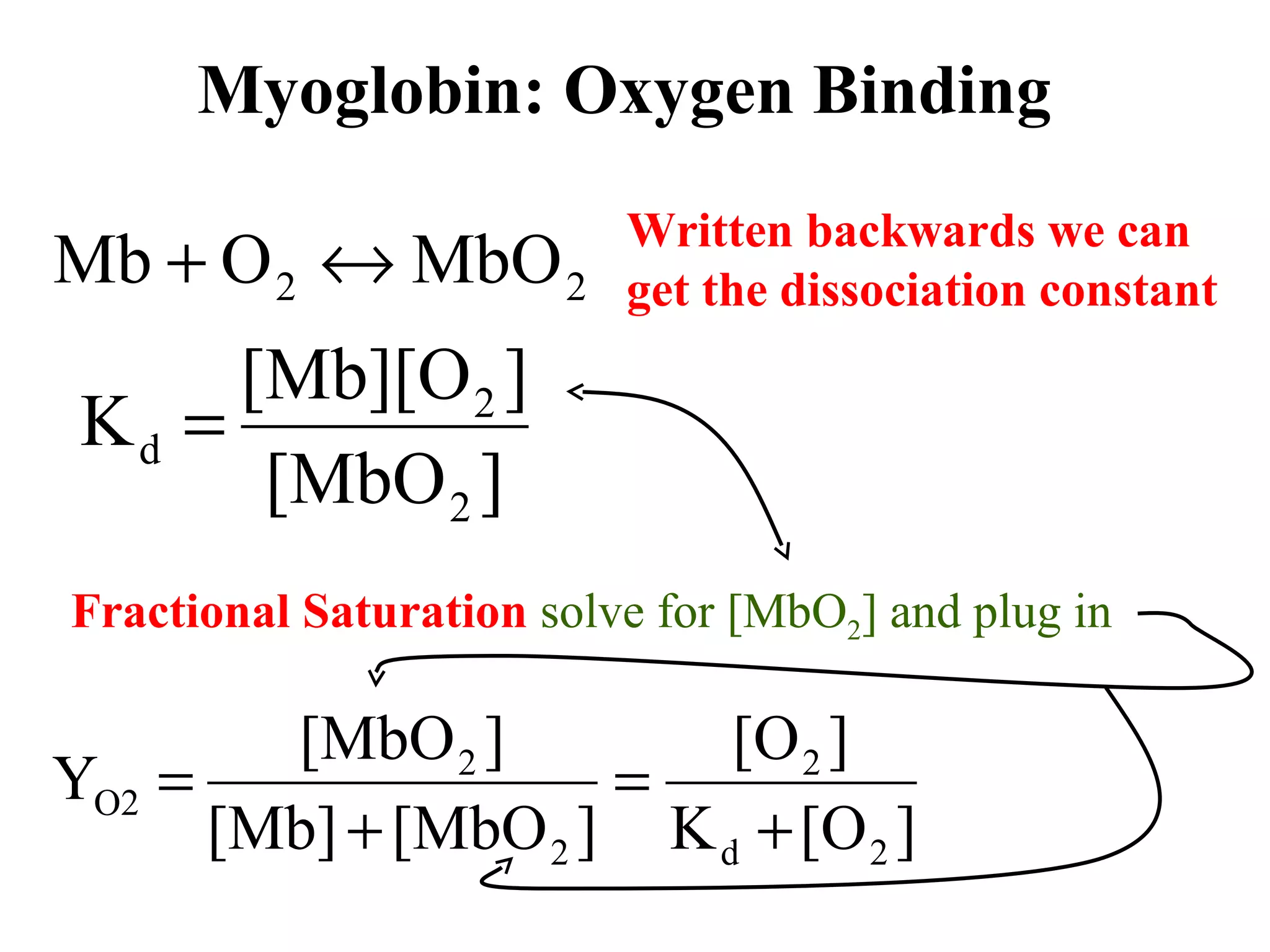 Myoglobin: Oxygen Binding

Mb + O 2 ↔

Written backwards we can
MbO 2 get the dissociation constant

[Mb][O 2 ]
Kd =
[MbO 2 ]
Fractional Saturation solve for [MbO2] and plug in

[MbO 2 ]
[O 2 ]
YO2 =
=
[Mb] + [MbO 2 ] K d + [O 2 ]

 