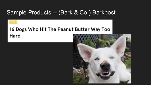 barkbox company