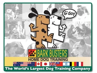 Bark Buster flip chart presentation